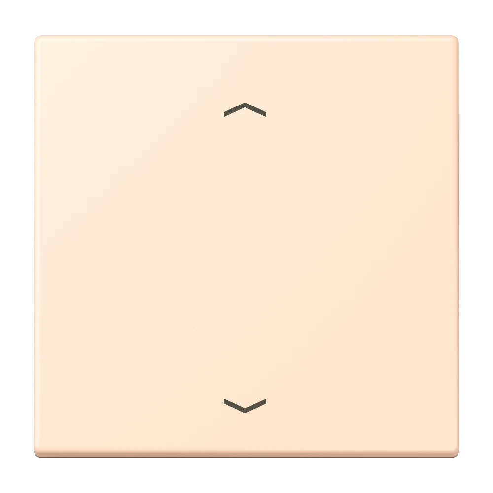 LB Management push-button 1-gang, with arrow symbols, terre sienne pâle (32123)
