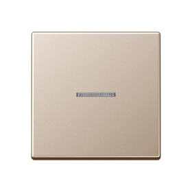 Rocker 1-gang, F10, champagne