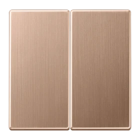 LB Management push-button 2-gang, brushed bronze