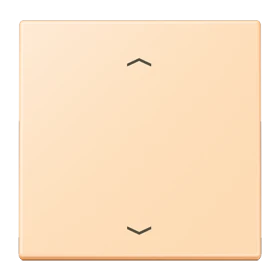 LB Management push-button 1-gang, with arrow symbols, ocre (32060)