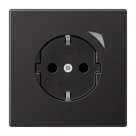 JUNG HOME SCHUKO® 插座, Safety Plus, dark