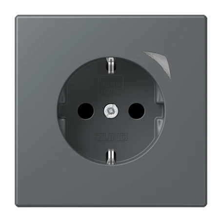 JUNG HOME SCHUKO® 能源检测插座, Safety Plus, gris foncé 31 (32010)