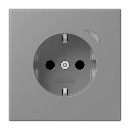 JUNG HOME SCHUKO® 能源检测插座, Safety Plus, gris 31 (32011)