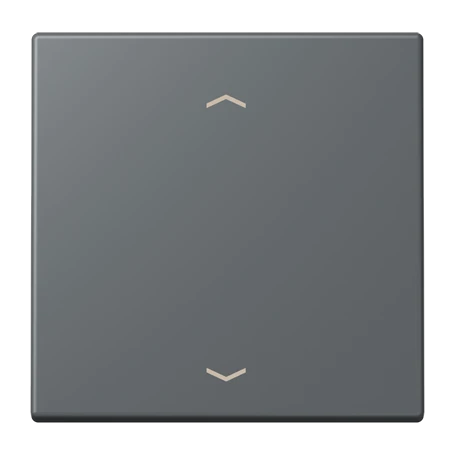 LB Management push-button 1-gang, with arrow symbols, gris foncé 31 (32010)