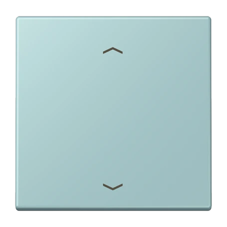 LB Management push-button 1-gang, with arrow symbols, céruléen clair (32033)