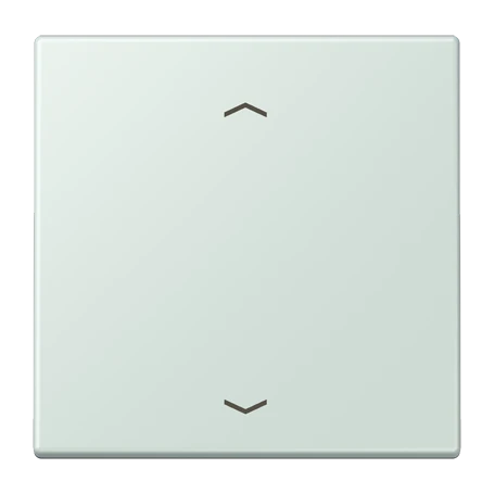 LB Management push-button 1-gang, with arrow symbols, céruléen pâle (32034)