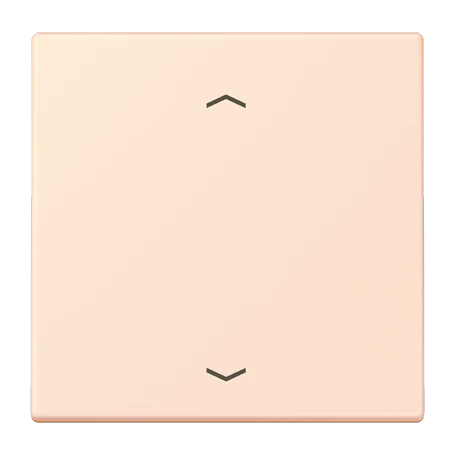 LB Management push-button 1-gang, with arrow symbols, orange pâle (32082)