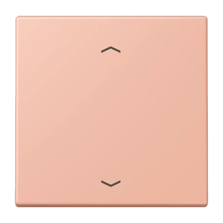LB Management push-button 1-gang, with arrow symbols, rose clair (32102)