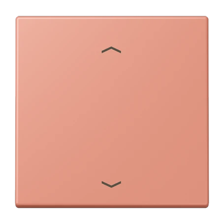 LB Management push-button 1-gang, with arrow symbols, l’ocre rouge moyen (32111)