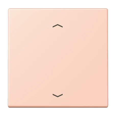 LB Management push-button 1-gang, with arrow symbols, l’ocre rouge clair (32112)