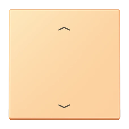 LB Management push-button 1-gang, with arrow symbols, terre sienne claire 59 (4320P)