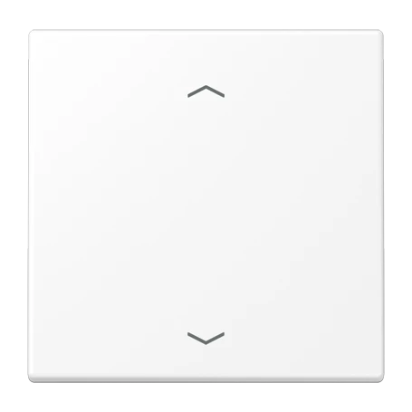LB Management push-button 1-gang, with arrow symbols, matt snow white