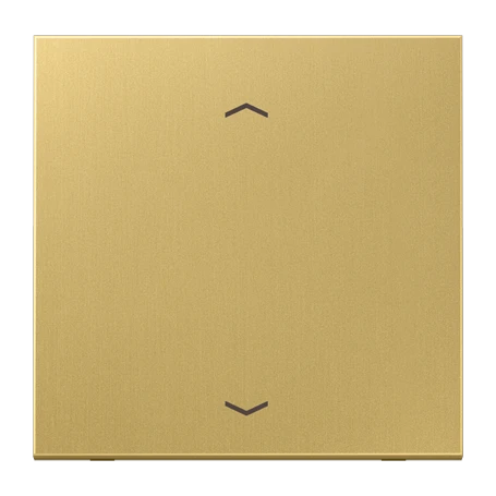 LB Management push-button 1-gang, with arrow symbols, classic brass