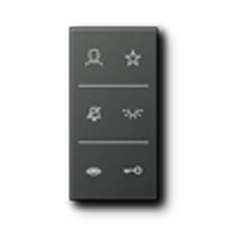 Symbol cover video NaV, F50, anthracite