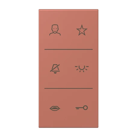 Symbol cover video NaV, F50, terre sienne brique (32121)